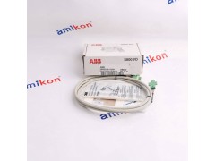 AMETEK DNC-T2010-R20图2