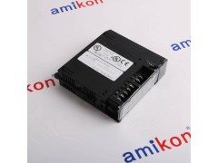 IC695ETM001-EJ F173087图2