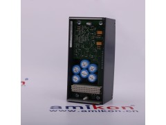 机械监测系统 330106-05-30-05-02-CN图2