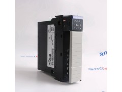 Triconex 3700A；Triconex 3700A图3