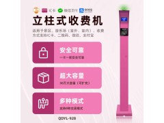 资阳游乐场粉色立柱扫码消费机手机扫码验票刷卡一体机安装图1