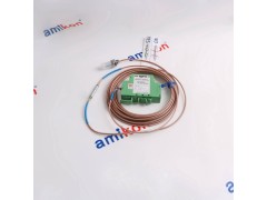 ​CCTDIL01PWADI24VACIOTA32图2