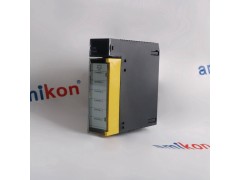 C300模块DI8C-PDILA1图2