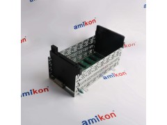 A0模块接线端子 IC694TBB032图2
