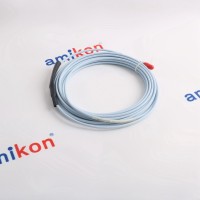 3BSE050199R1 PM866K02