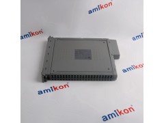 控制器 C300 的端子面板DC-TCNT01图2