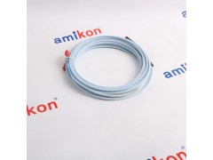 AB罗克韦尔	1785-V80B图2