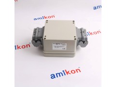 EPRO MMS6250 模件图2