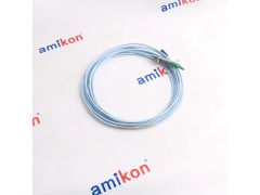 1900 / 65 A 01 01 03 01 00图2