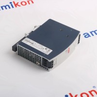 输出模块 IC200ALG230D