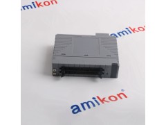 输出模块 IC200ALG230D图2