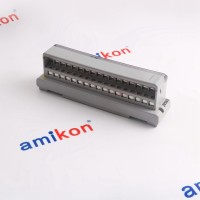 GE	IC200ALG264