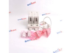 CC-TDIL11 CC-TDOB01（DCS控制系统）图3