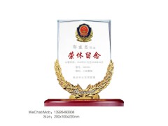 奖品之家定制 金马奖杯 水晶奖杯 羽毛球奖杯 创意奖杯图3