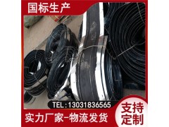 中埋式钢边橡胶止水带 桥梁橡胶止水带 地下设施，挡水坝用图3