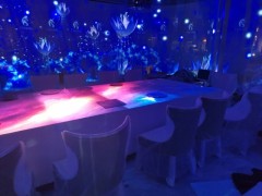 广东互动投影餐厅厂家 深圳3D光影餐厅 广州全息投影餐厅图2