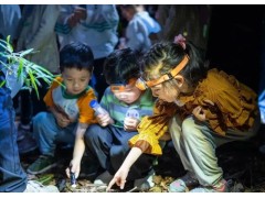 苏州研学旅行青少年暑期夏令营户外探索水上拓展体验课开营了图3