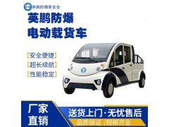 防爆电动铁皮皮卡载货车EXBY-2.0T/XZ9/4座图1