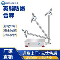 湖南工业防爆台秤EXBZ-900H/1KZ