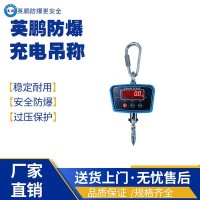 海南工业防爆充电吊秤 EXBZ-900/S100