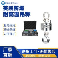 海南工业防爆耐高温吊秤EXBZ-900/DNG3T