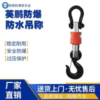 南京医疗防爆防水吊秤EXBZ-900/DF10T