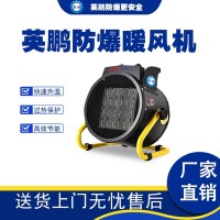 上海医疗防爆暖风机YPNF-20Ex
