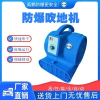 河南英鹏防爆吹地机铝厂用EXP1-10YP-0.37CD