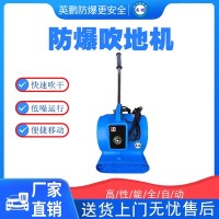 中山防爆吹地机耐火材料厂EXP1-10YP-1.1C*