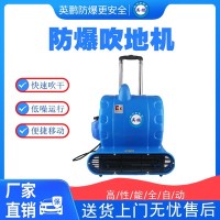 哈尔滨防爆吹地机耐火材料厂用EXP1-10YP-3.2CD