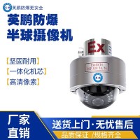 安徽制药防爆半球摄像机