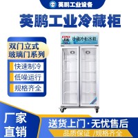 大理酒店用英鹏冷藏柜LC-700L