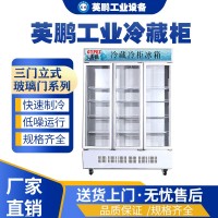 南京运输用英鹏工业用冷藏柜LC-1000L