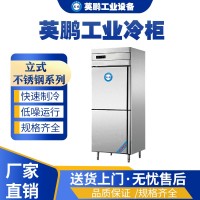 湖南工业用英鹏不锈钢冷藏冷冻柜LC-500BXG