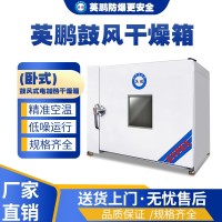 湖南塑料厂用英鹏卧式恒温鼓风干燥箱YP-13D