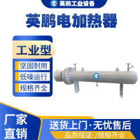 海南工业用英鹏气体电加热器