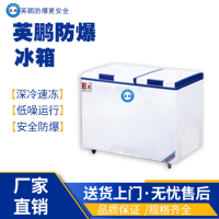 海南文昌储藏用防爆冰箱 卧式双温BL-200WS400L