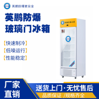湖北工业单温冷藏防爆冰箱 BL-200LC370L