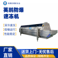 辽宁工业英鹏防爆速冻机12kw