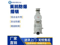上海工业防爆插销图1