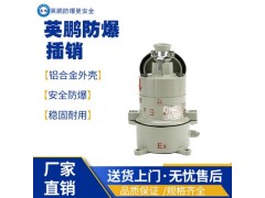 华南工业用防爆插销图1