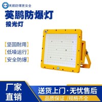 南京工业防爆投光灯EX-DJ98B-80W