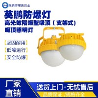 辽南防爆吸顶照明灯EX-DJ95CS-50W