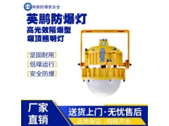 湖南工业防爆吸顶照明灯EX-DJ95CS-60W图1
