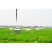 水稻人工气候室