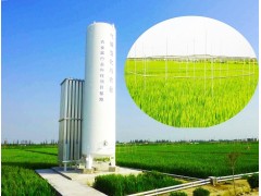 小麦人工气候室图1