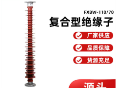 高压线路棒形复合绝缘子图3