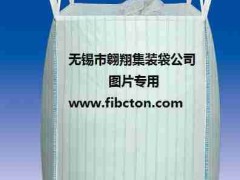 无锡市翱翔集装袋公司制造加工技术提高研讨会展