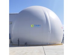 大白球双膜储气柜WD68S图2