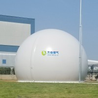 大白球双膜储气柜WD68S